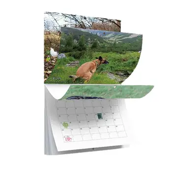 Календарь какающих собак 2024 Забавный Календарь с собаками, какающими в красивых местах 2024 Новый Настольный Календарь для спальни Гостиной