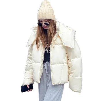 Короткое пальто с капюшоном, Толстая теплая зимняя куртка, женская повседневная верхняя одежда большого размера со свободным воротником-стойкой, Однотонная парка Fmeale